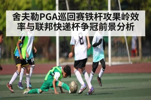舍夫勒PGA巡回赛铁杆攻果岭效率与联邦快递杯争冠前景分析